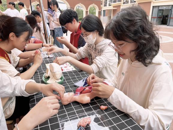 图示, 示意图

中度可信度描述已自动生成:ver1