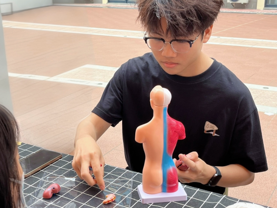 图示, 示意图

中度可信度描述已自动生成:ver1