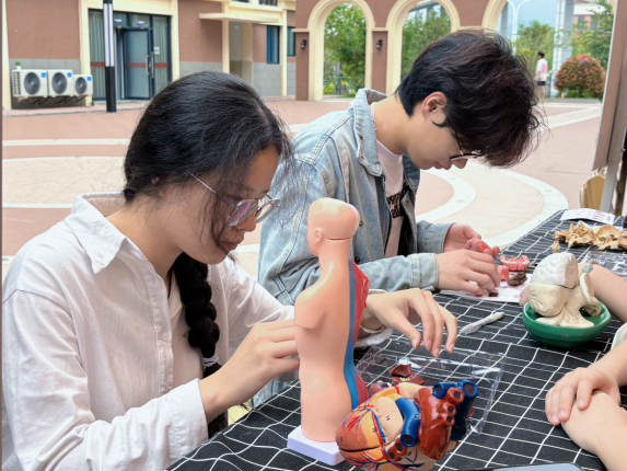 图示, 示意图

中度可信度描述已自动生成:ver1