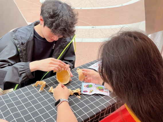 图示, 示意图

中度可信度描述已自动生成:ver1