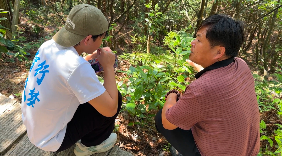 e6eedd0415c18254c22501da3d5c28d