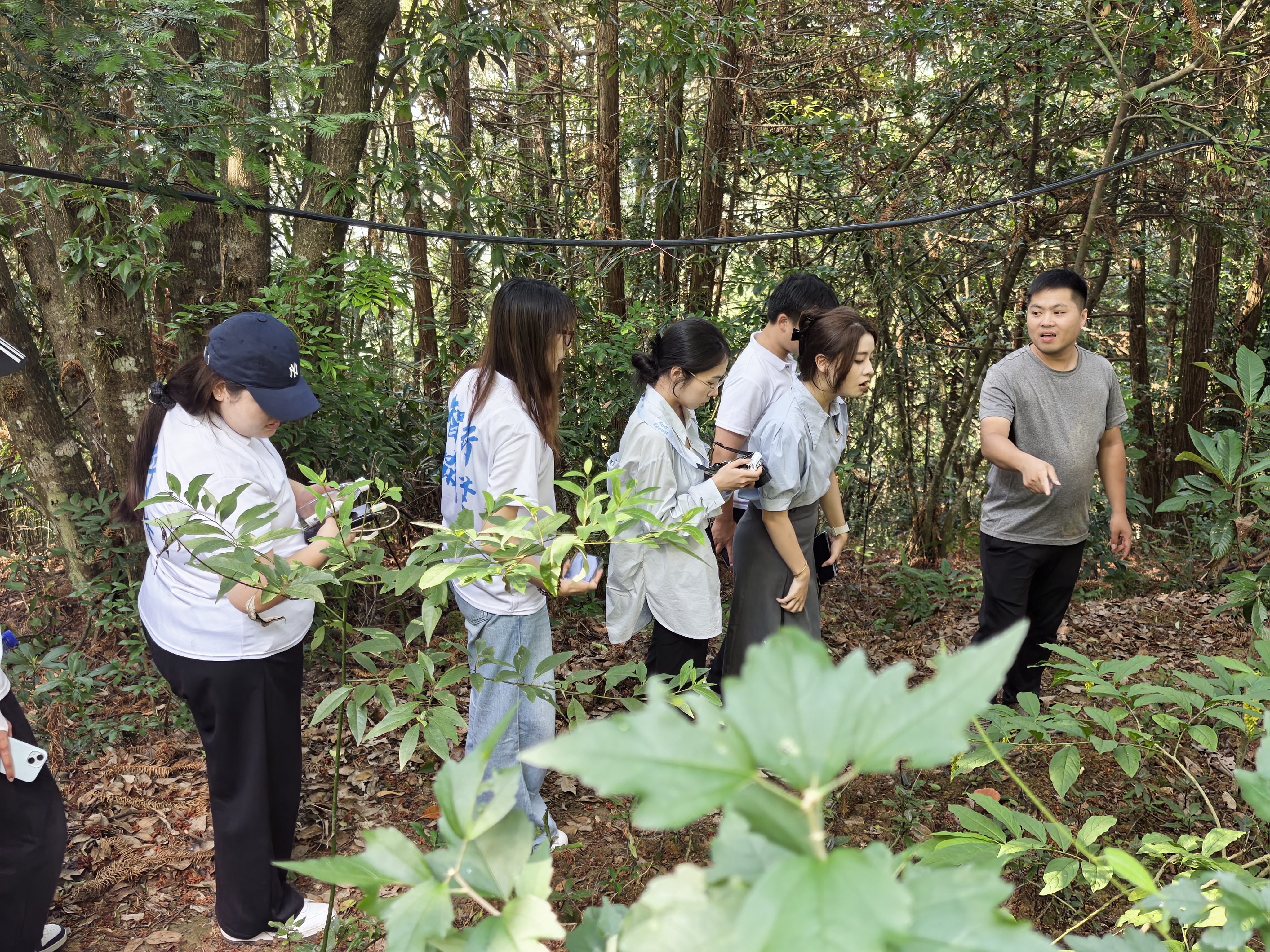 7201985a114ab045bb03006db341fad